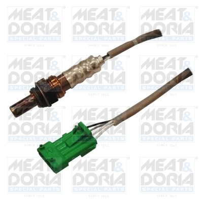 Oxygen Sensor